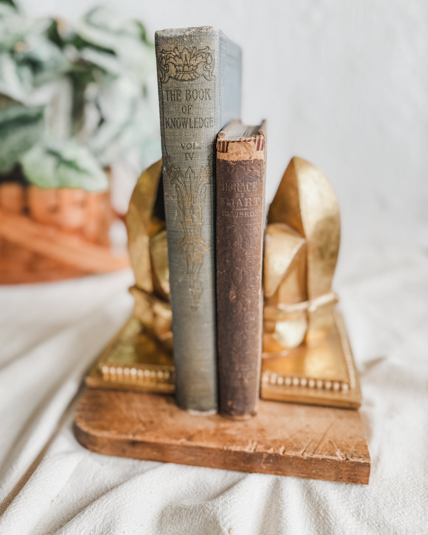 Fleur de Lis Gilded Book Ends
