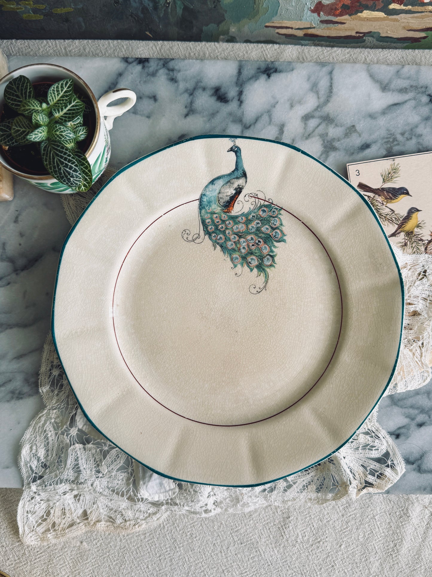 Nearly antique China plates with Peacock pattern