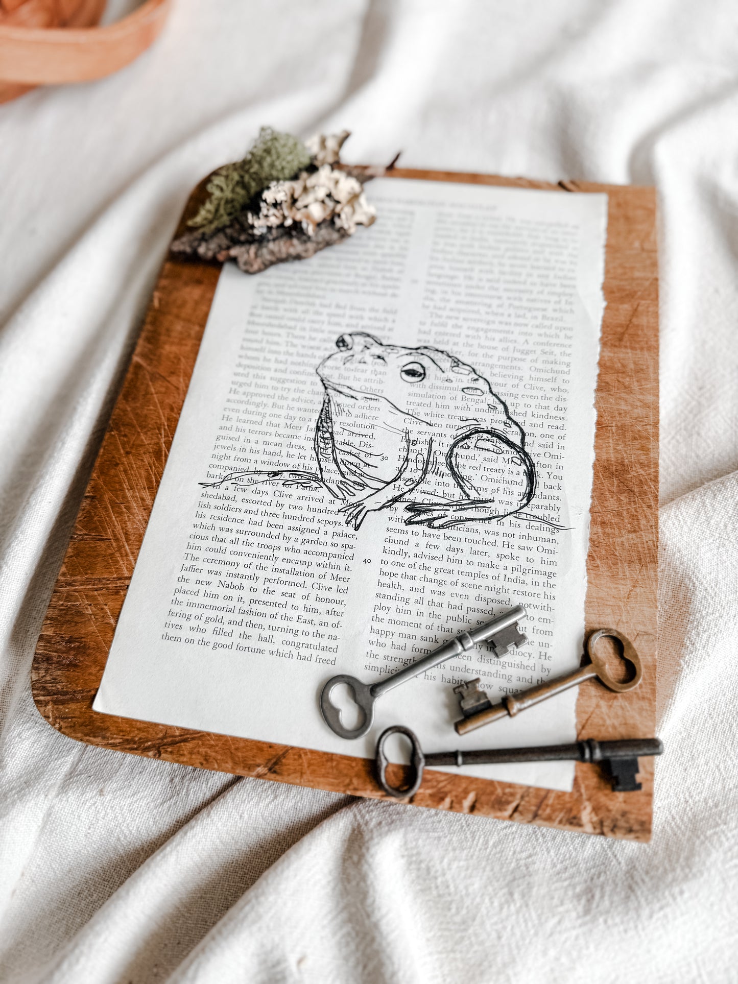 Original Illustrations in Ink on vintage book pages, Toad | Handmade Artisan Gift Boutique| Artwork