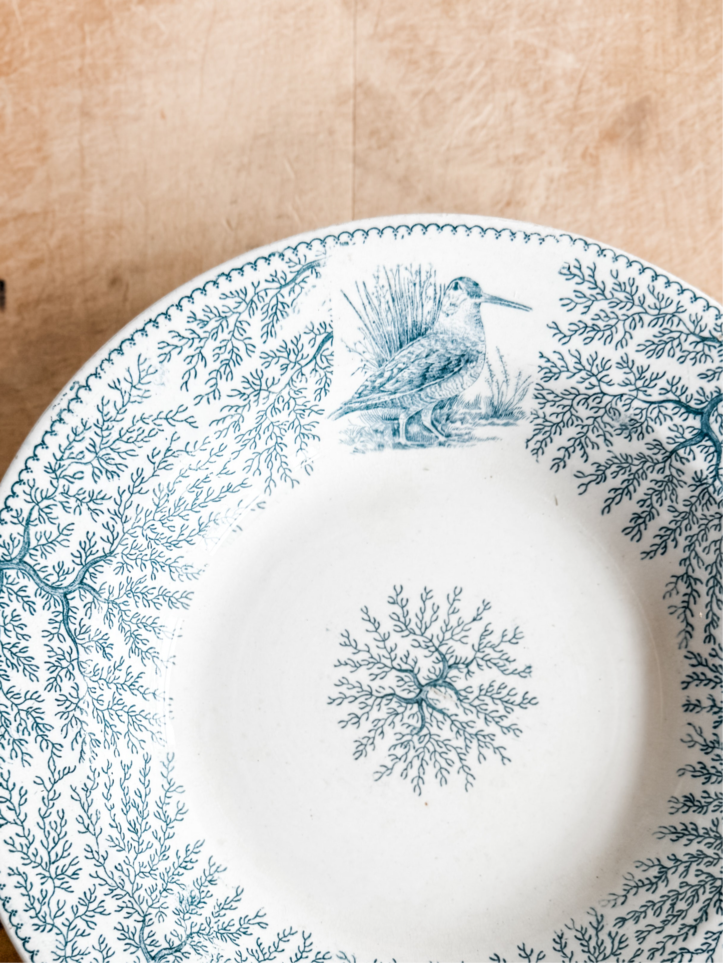 Antique English Transferware bowl with flora and Fauna