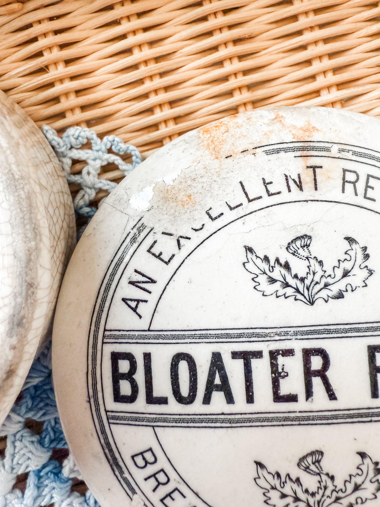 Bloater Paste lidded ironstone Pot