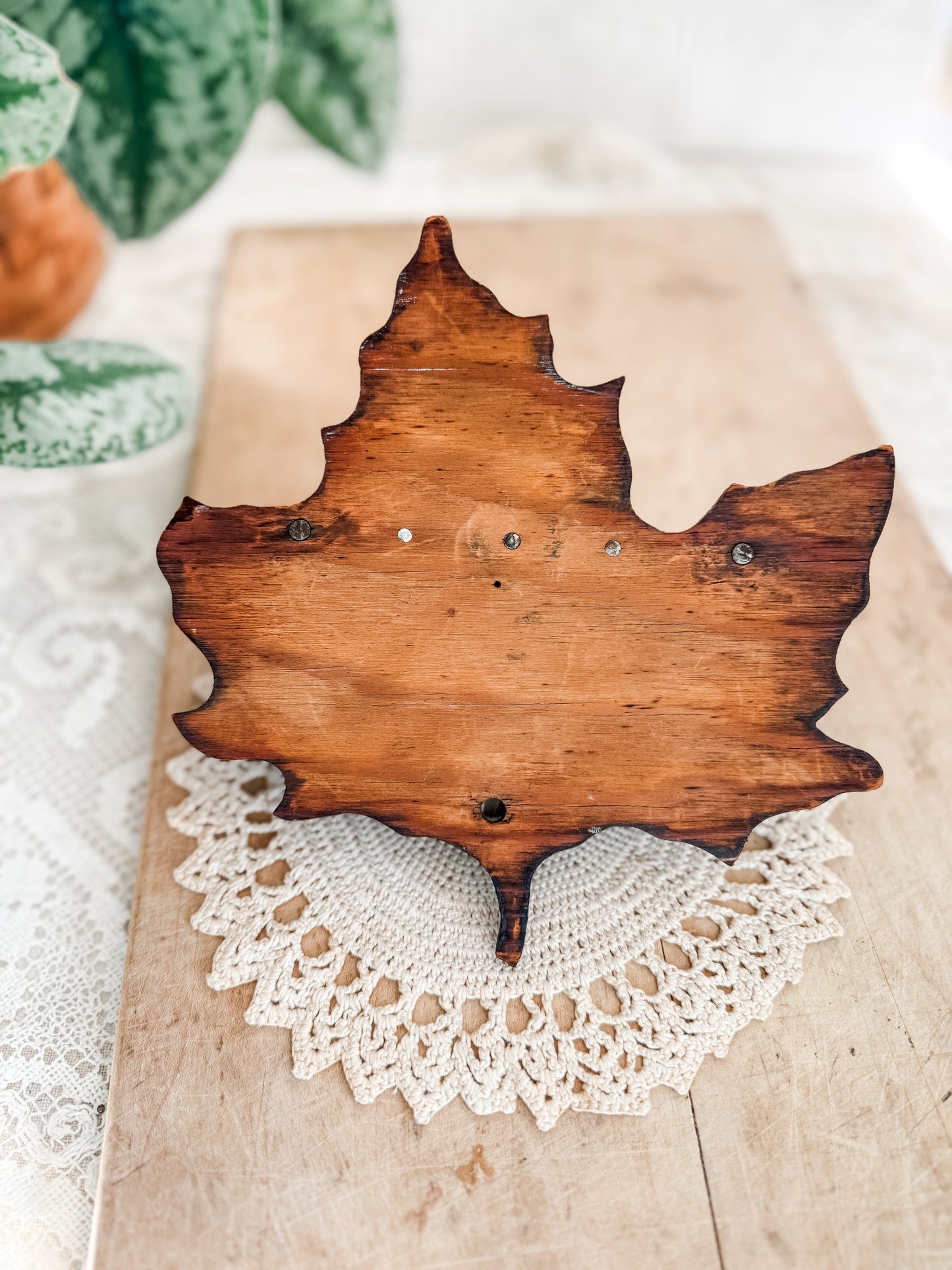 Dark Wood Maple Leaf Shelf