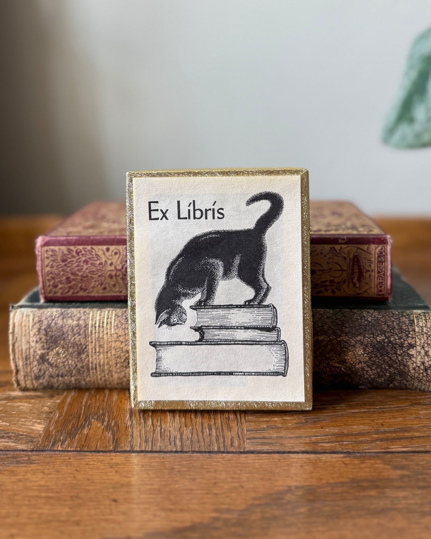 Vintage Bookplates (Set of 5)
