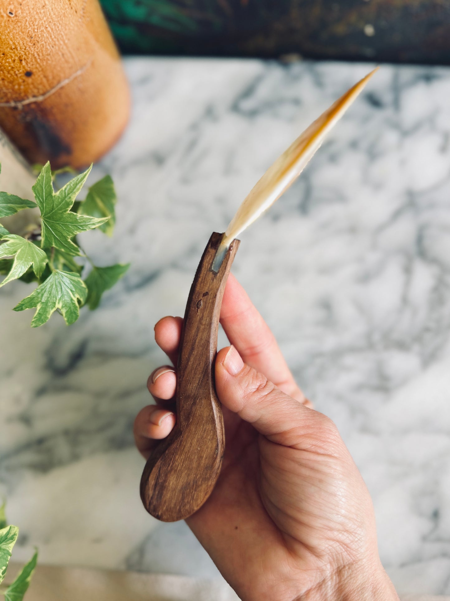 Abalone shell serving spoon