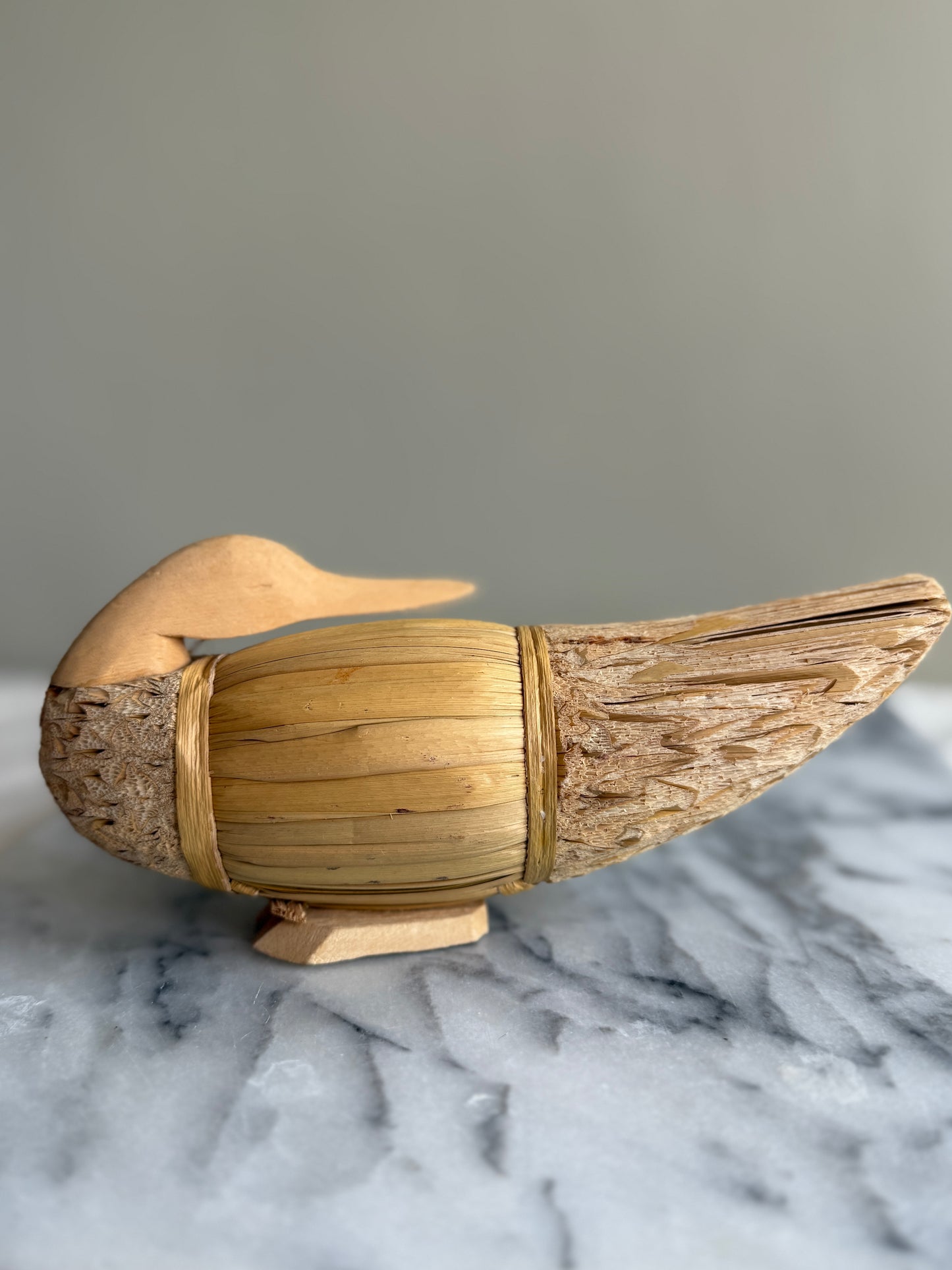 Light colored Reed Duck