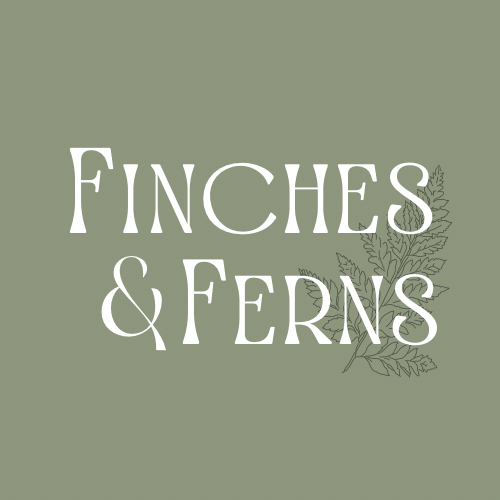 Welcome to Finches and Ferns