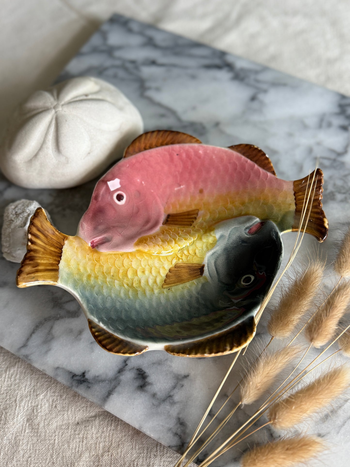 Colorful footed fish dish