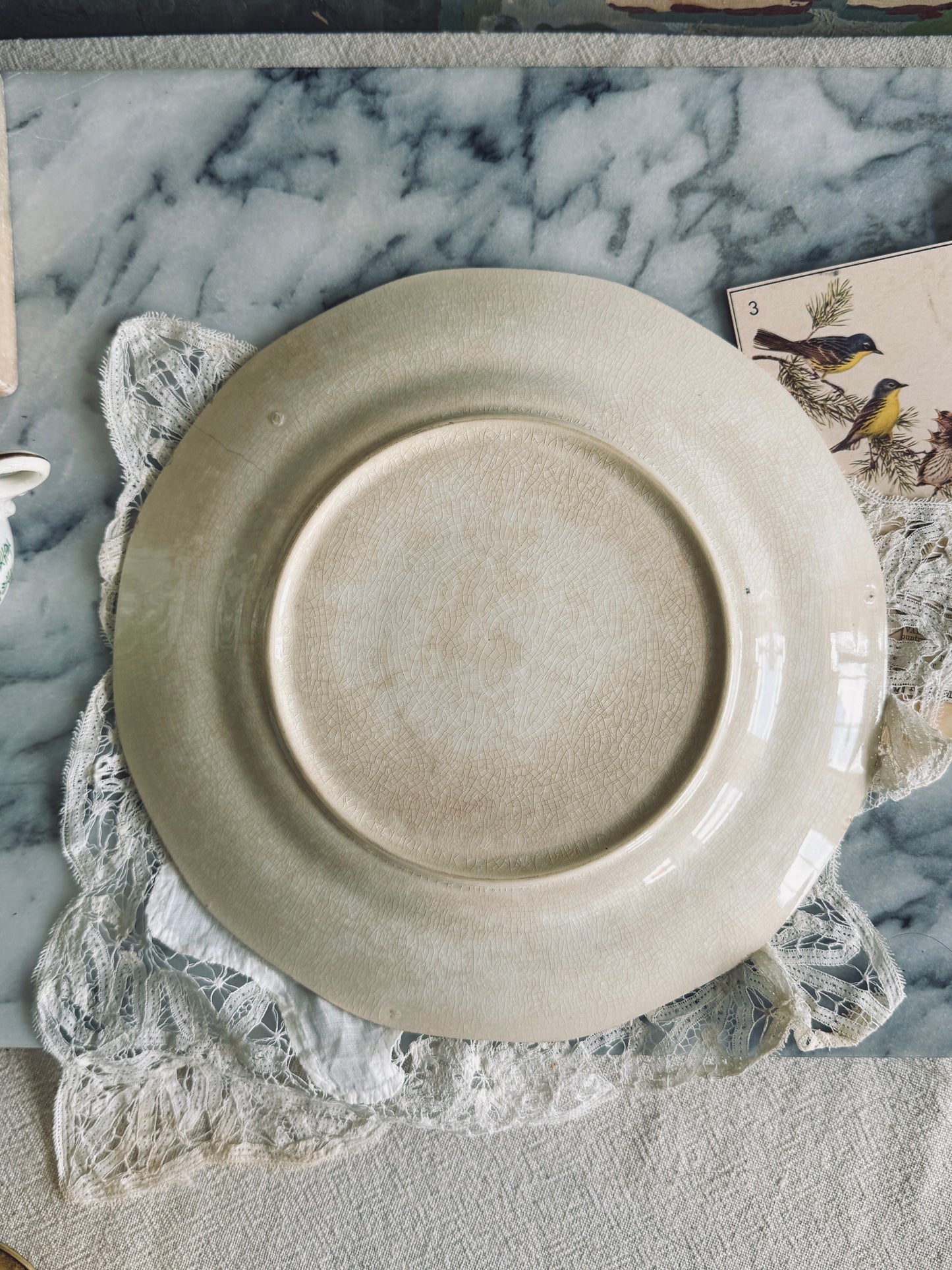 Nearly antique China plates with Peacock pattern