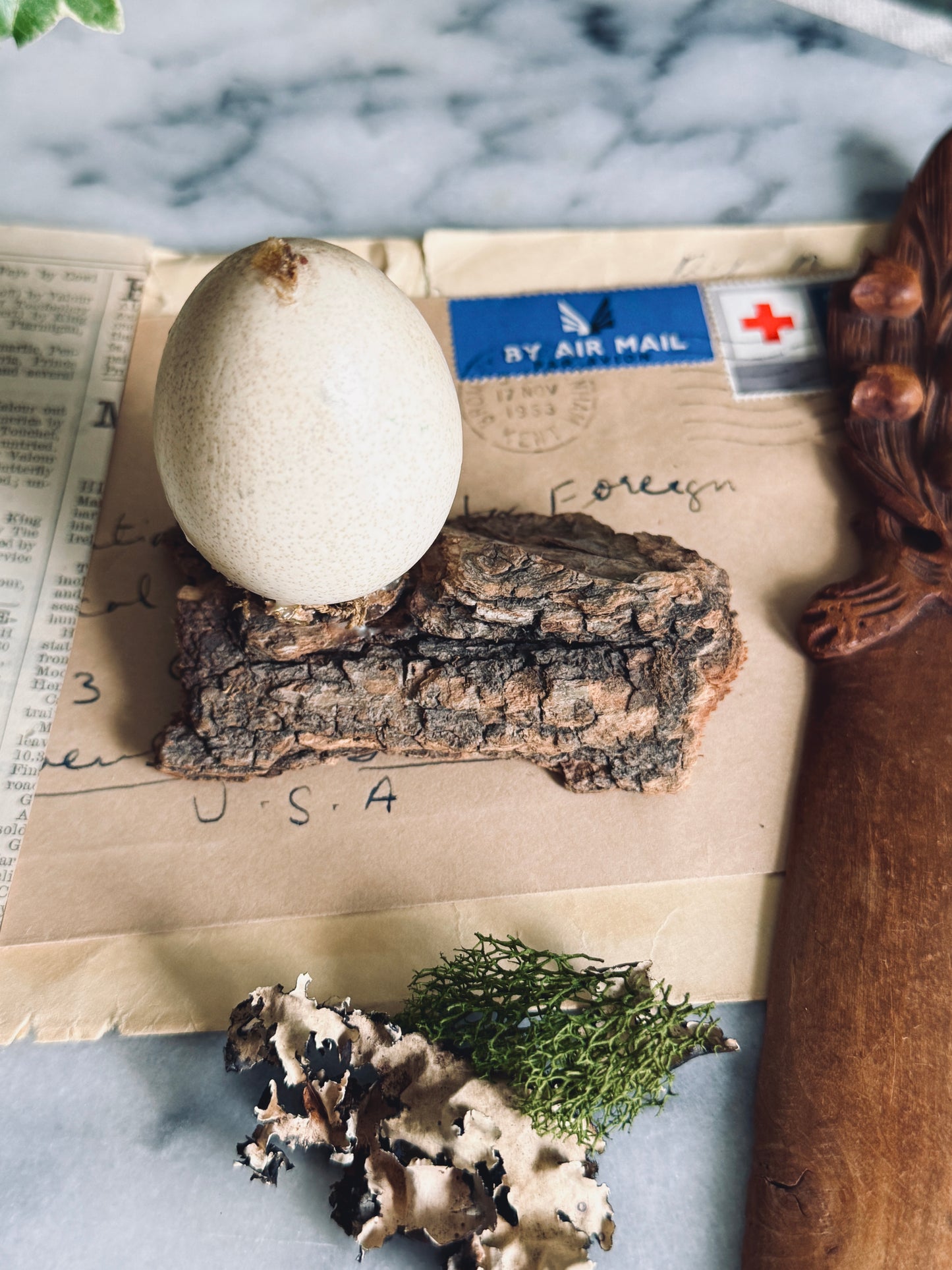 Decoupage Egg on Bark