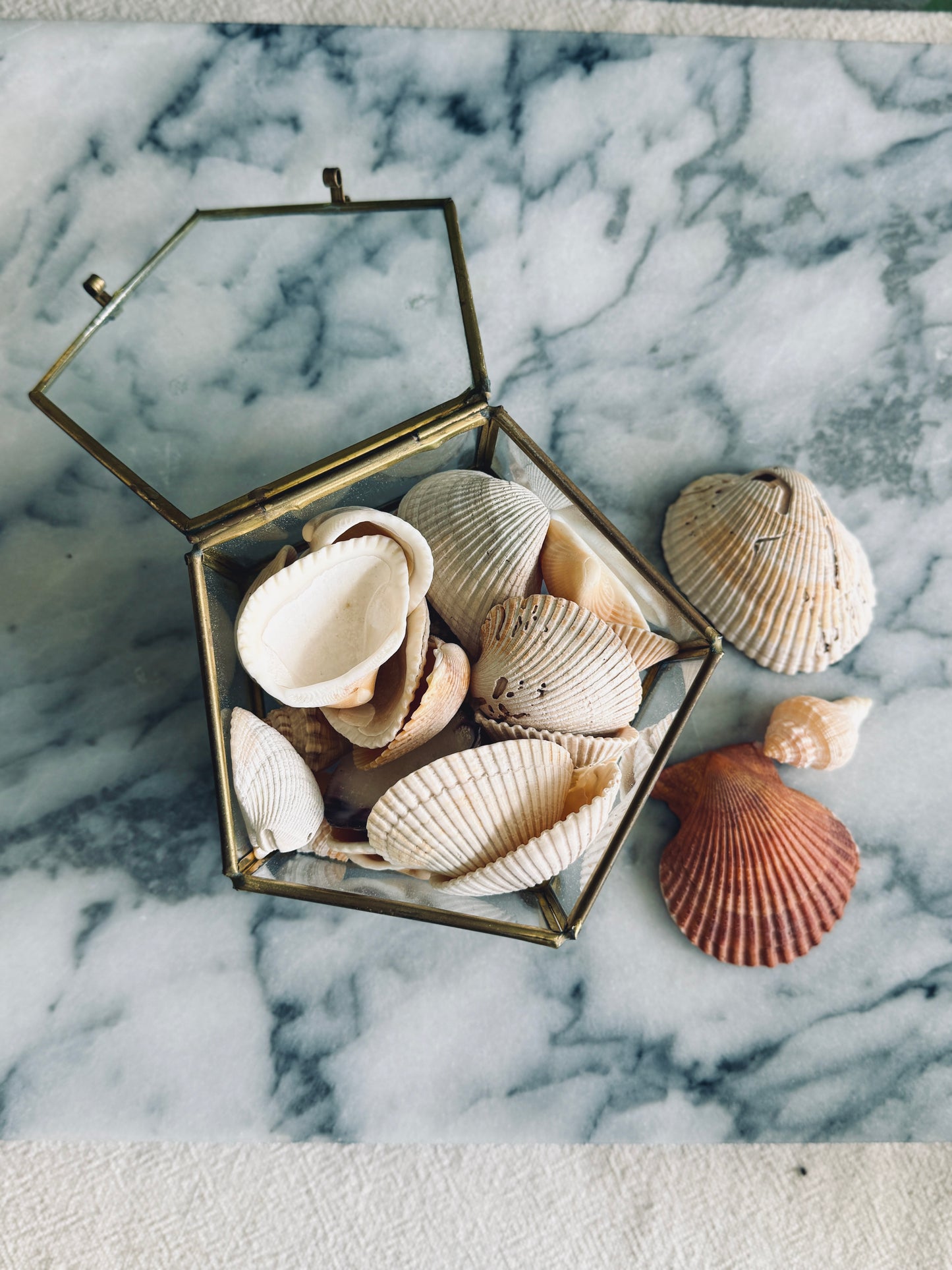 Vintage footed brass and glass display box with seashells