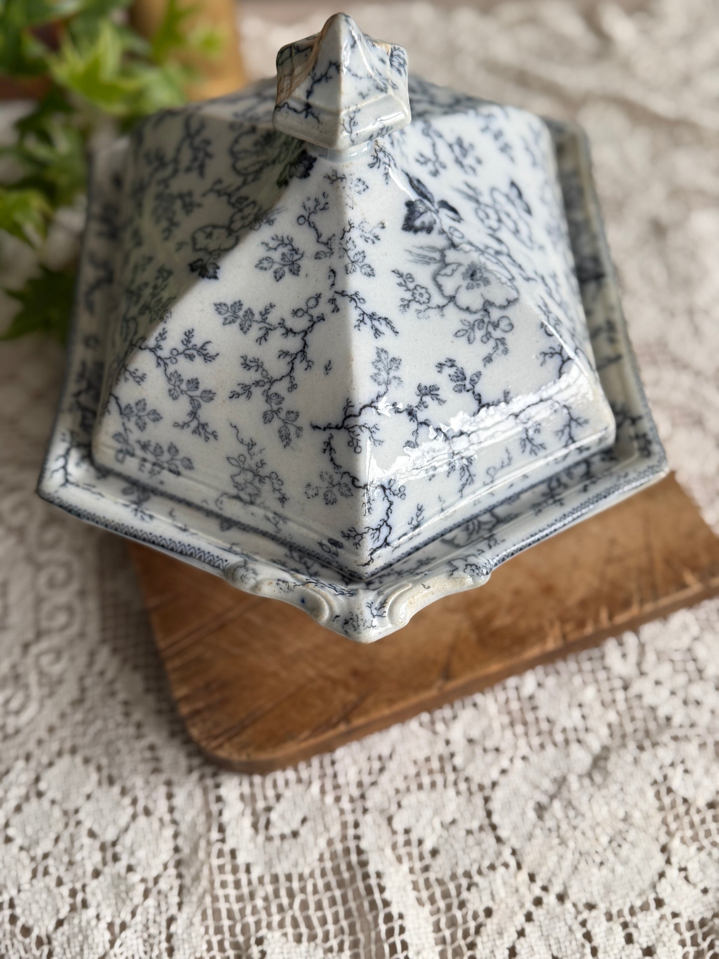 Antique Mid 19th century Staffordshire covered tureen made by Francis Morley & Co. in the pattern “Lady Peel”