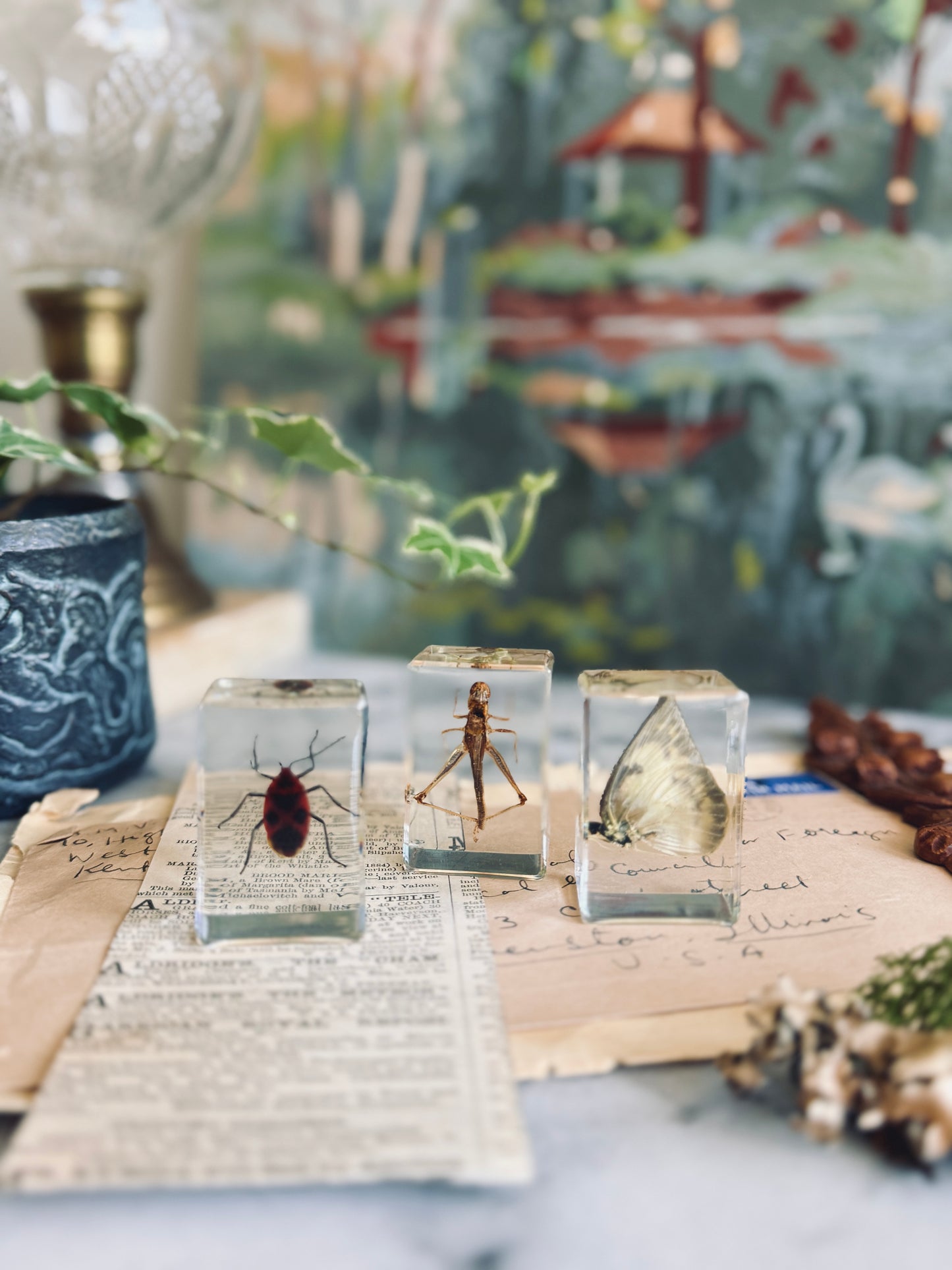Set of three insect specimens suspended in resin