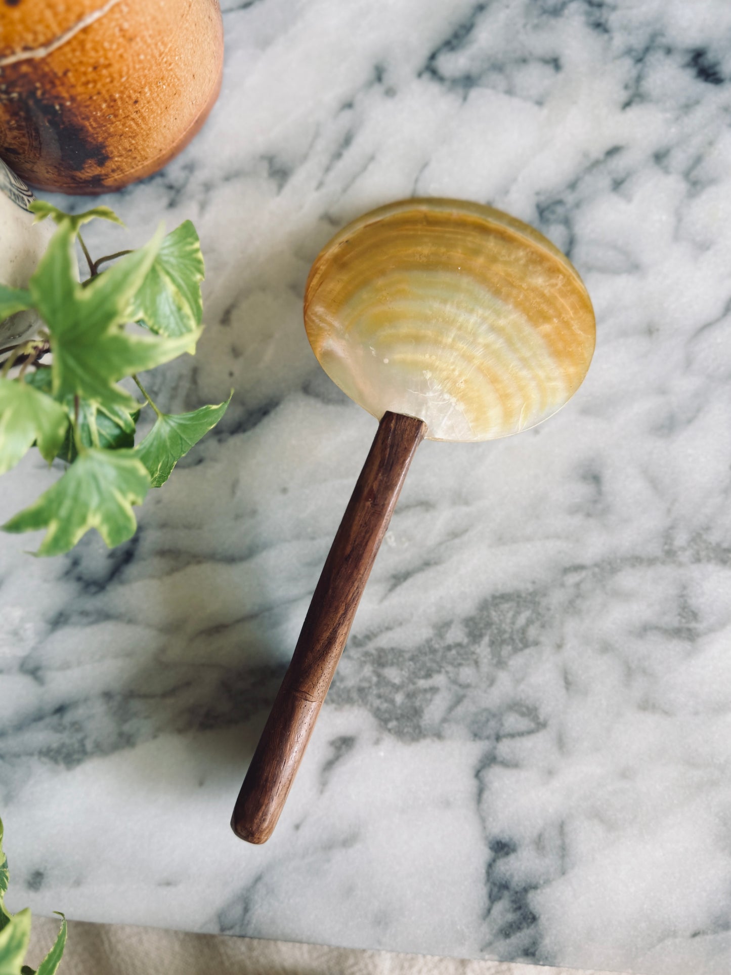 Abalone shell serving spoon