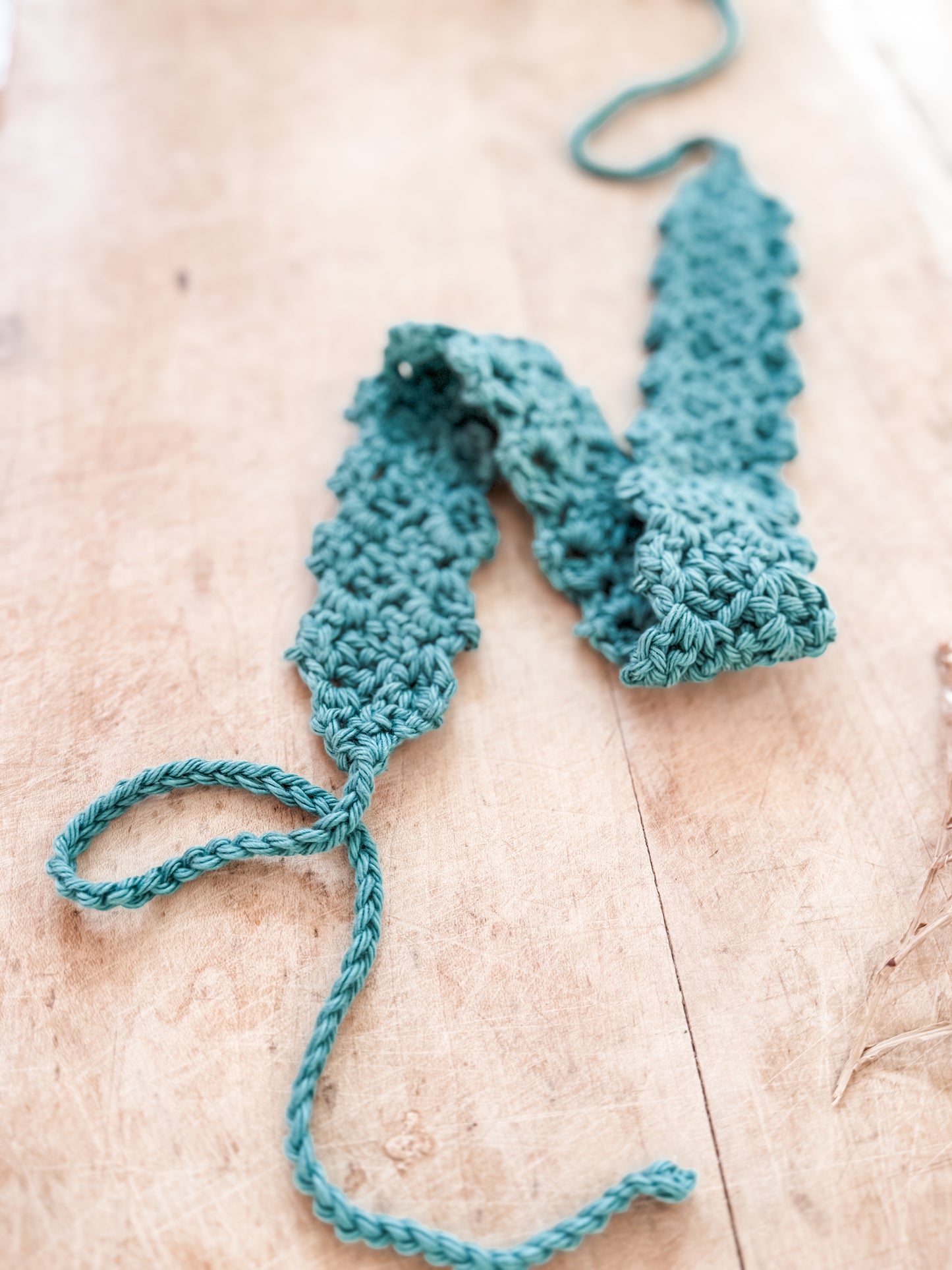 Crocheted Headband