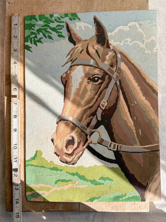 Vintage Paint by Number Horse Profile Front View