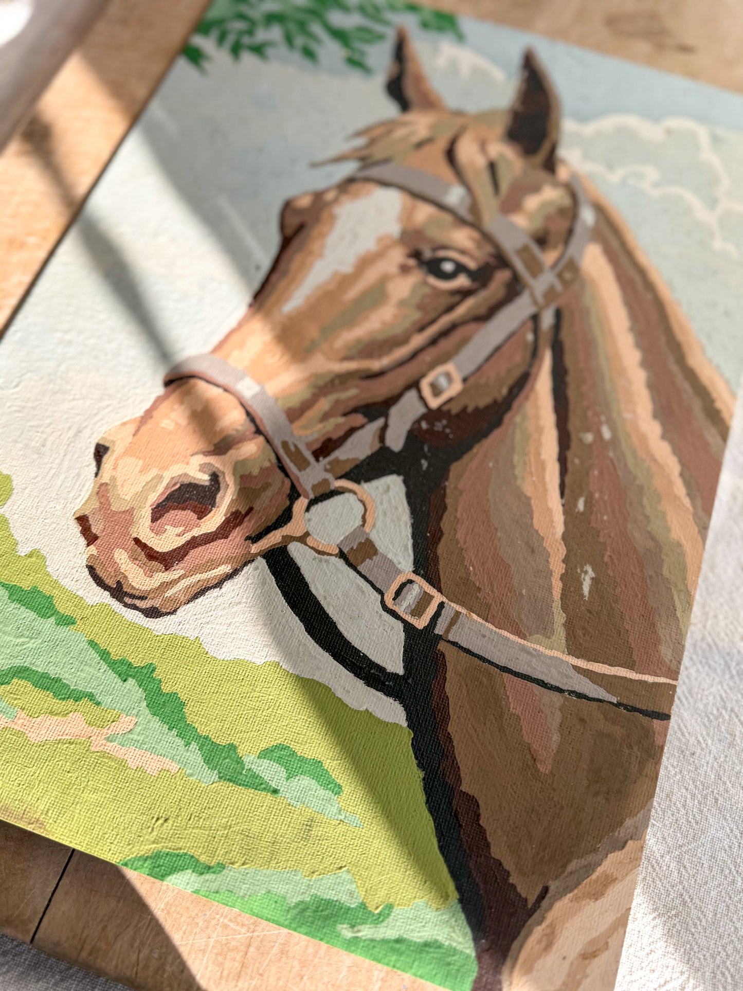 Vintage Paint by Number Horse Profile Front View