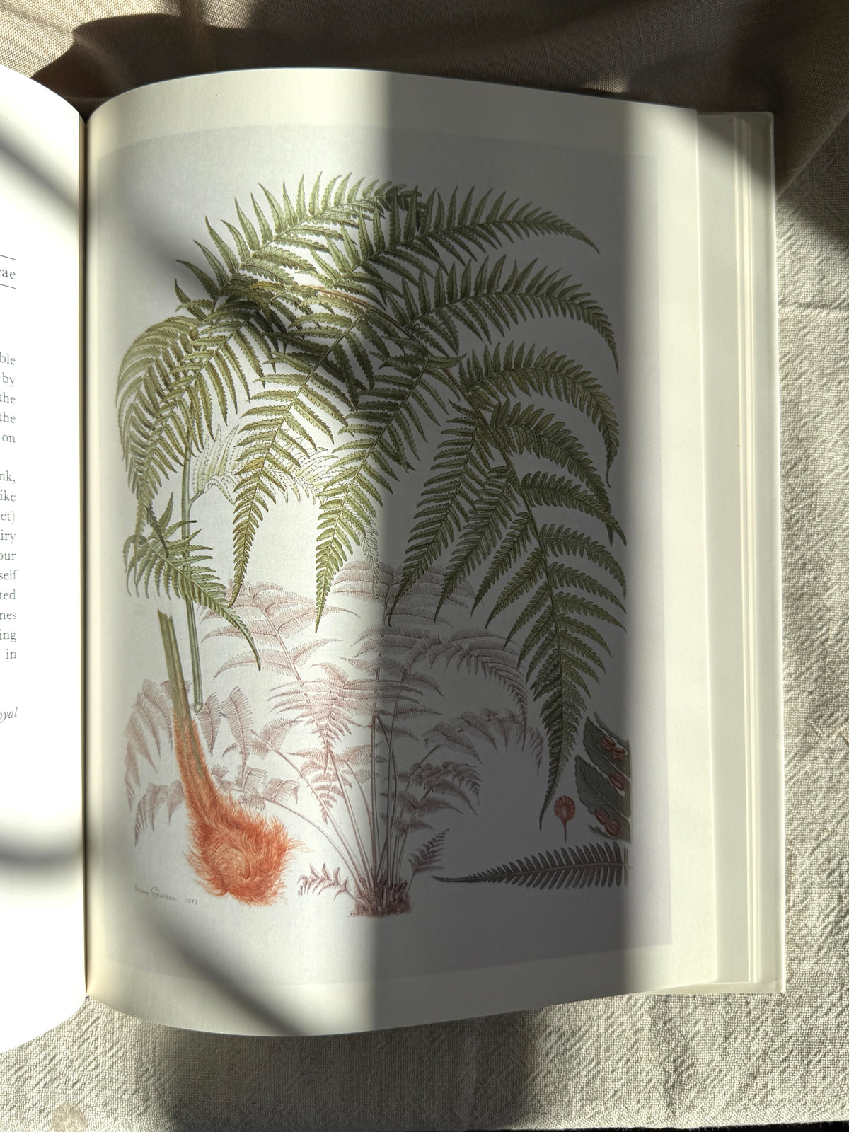 Botanical Masters Book