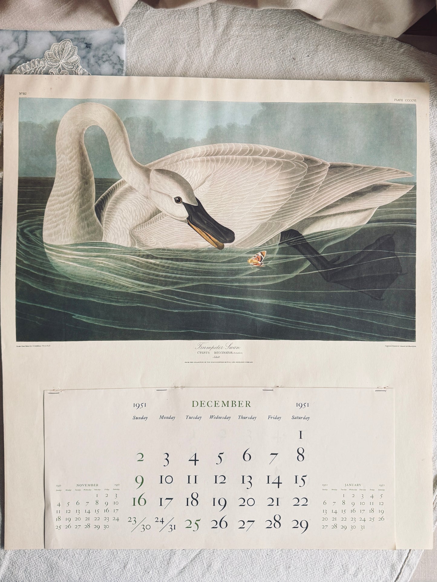 Wall calendar from the 1950’s with Audubon print of a swan