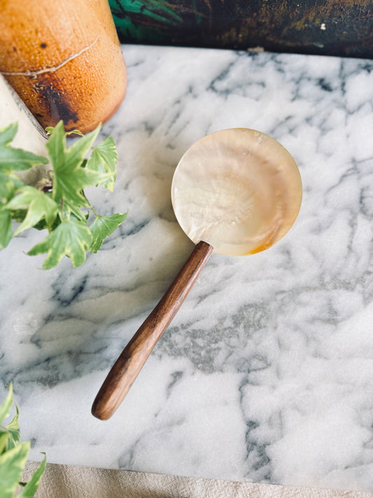 Abalone shell serving spoon