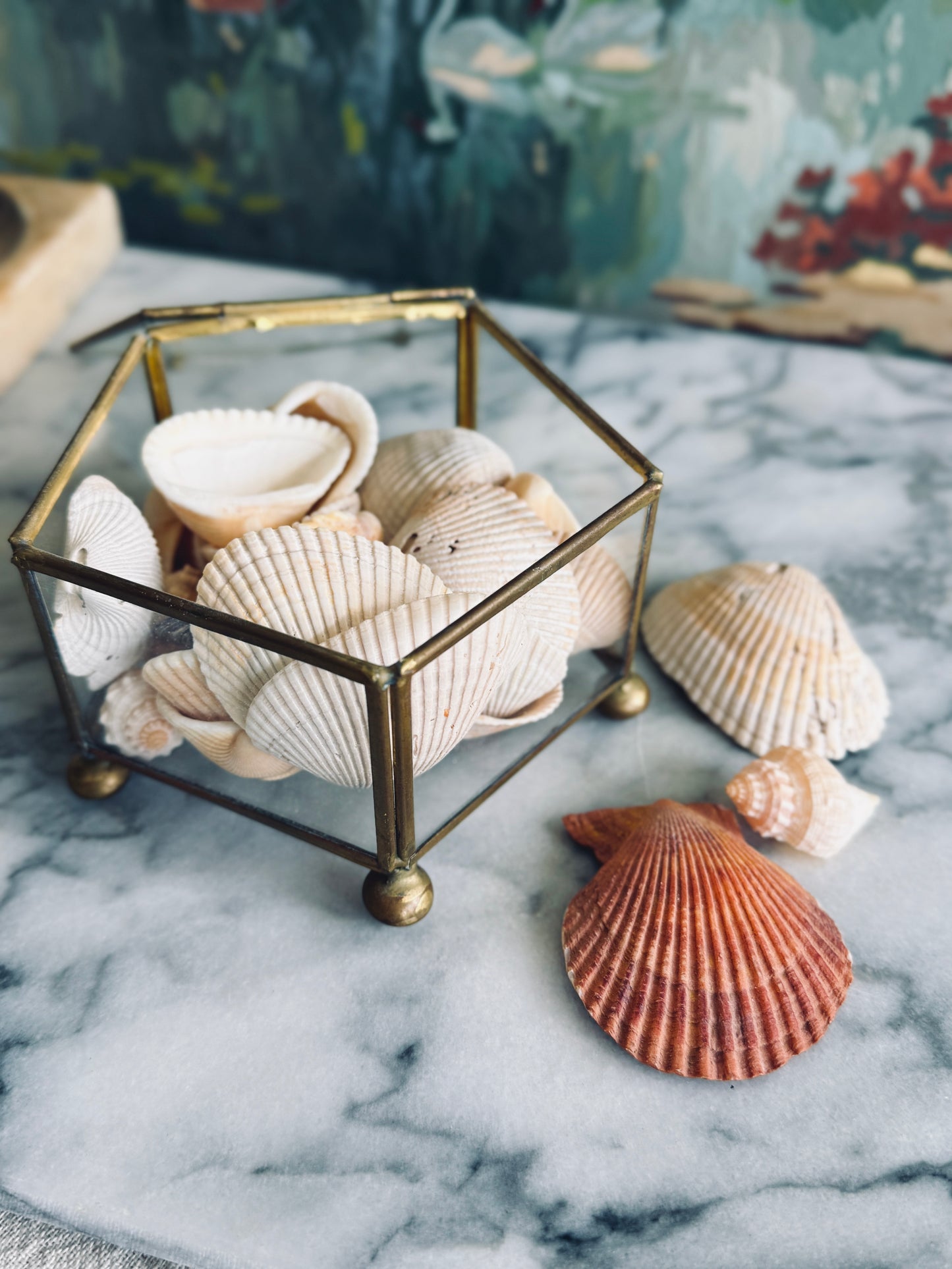 Vintage footed brass and glass display box with seashells
