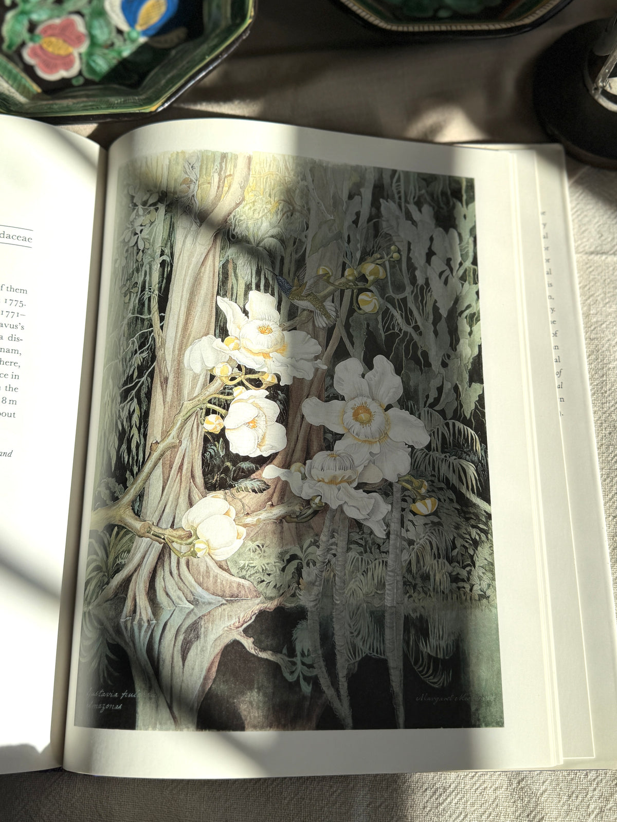 Botanical Masters Book