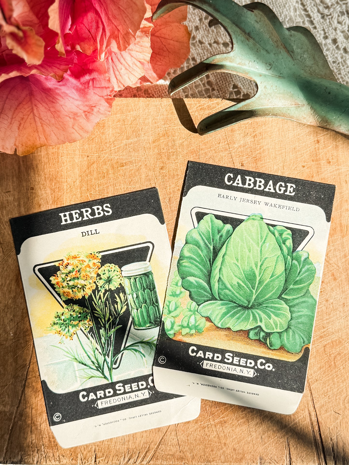 Pair of vintage seed packets