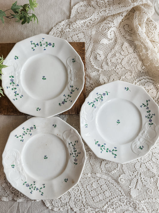 3 Antique French embossed dinner plates (1820’s-1830’s)