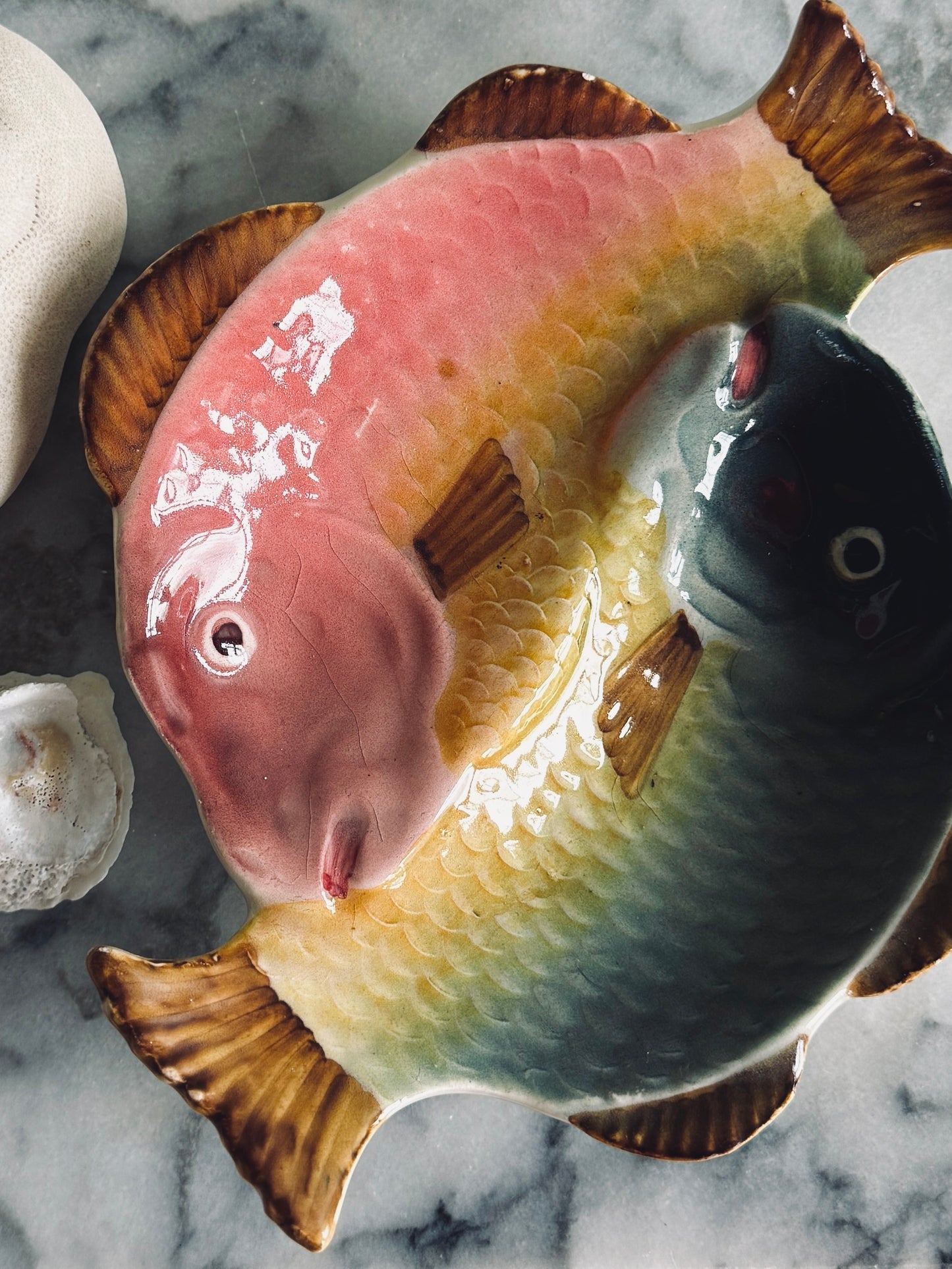 Colorful footed fish dish