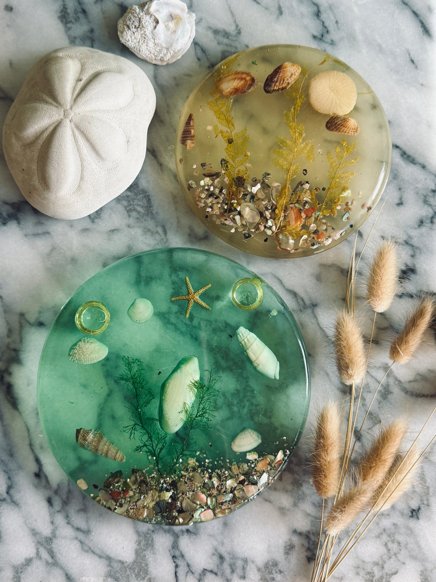 Pair of Resin seashell trivets