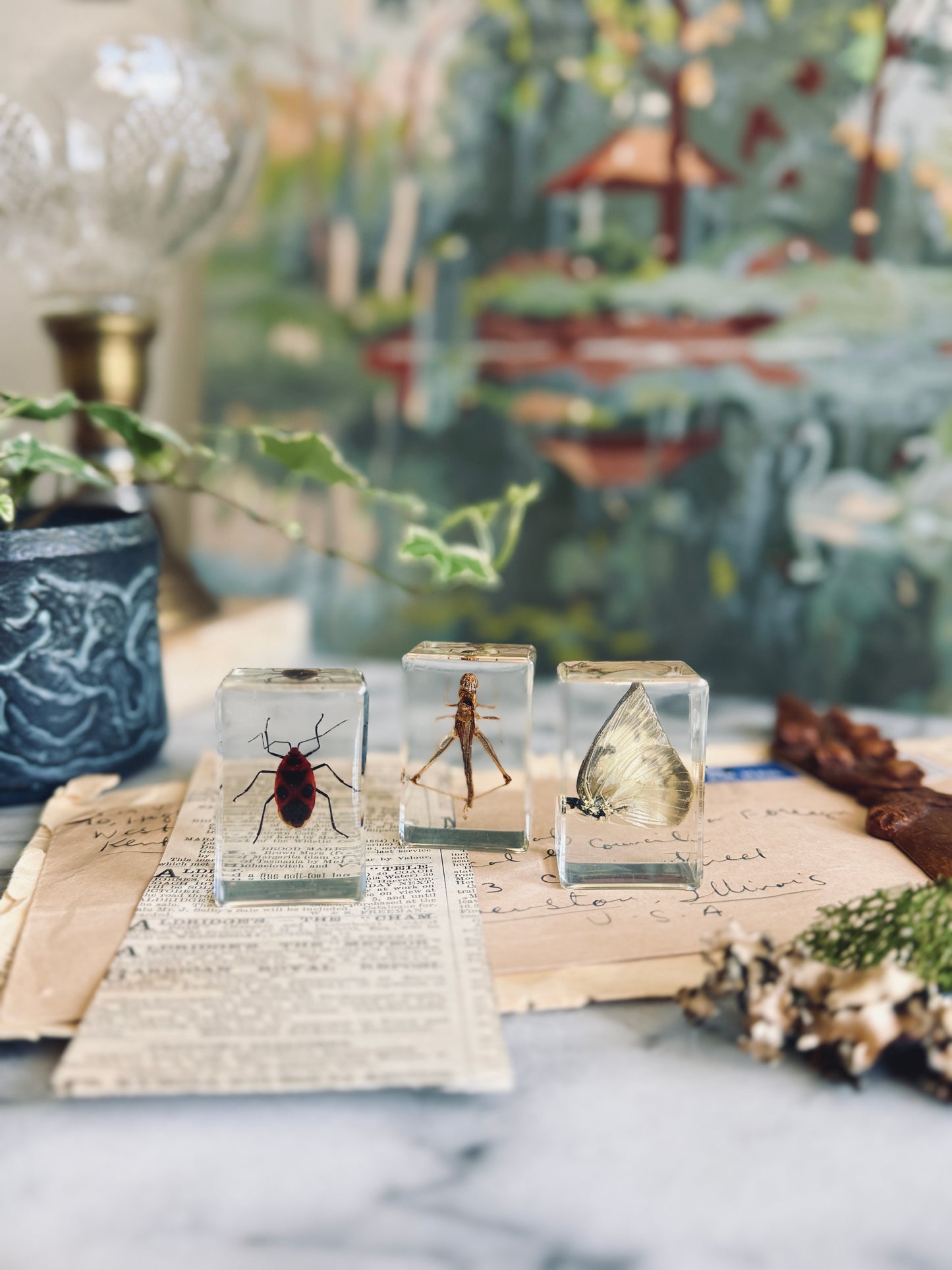 Set of three insect specimens suspended in resin