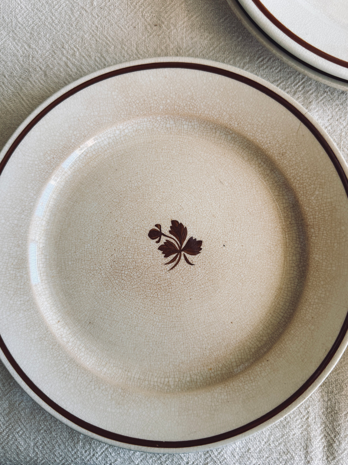Set of 4 ironstone tea leaf plates