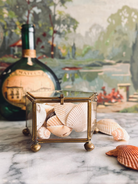 Vintage footed brass and glass display box with seashells