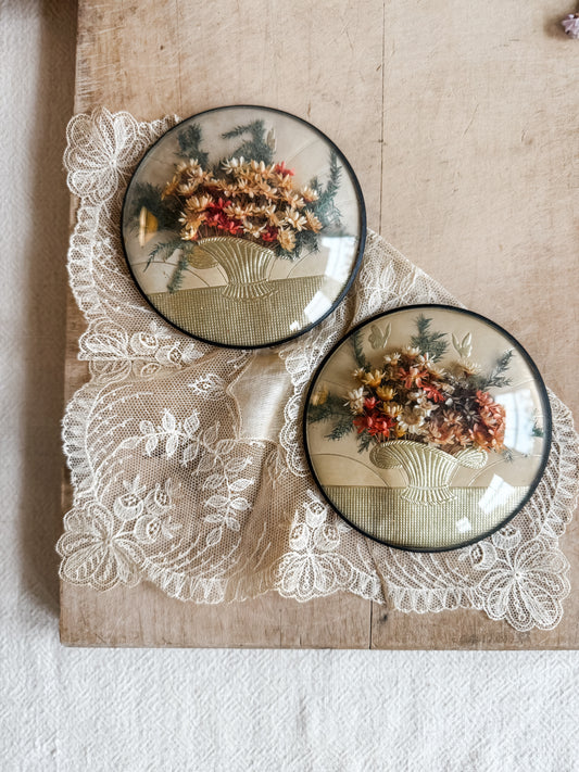Pair of Vintage Dried Florals in a Round Convex Frame