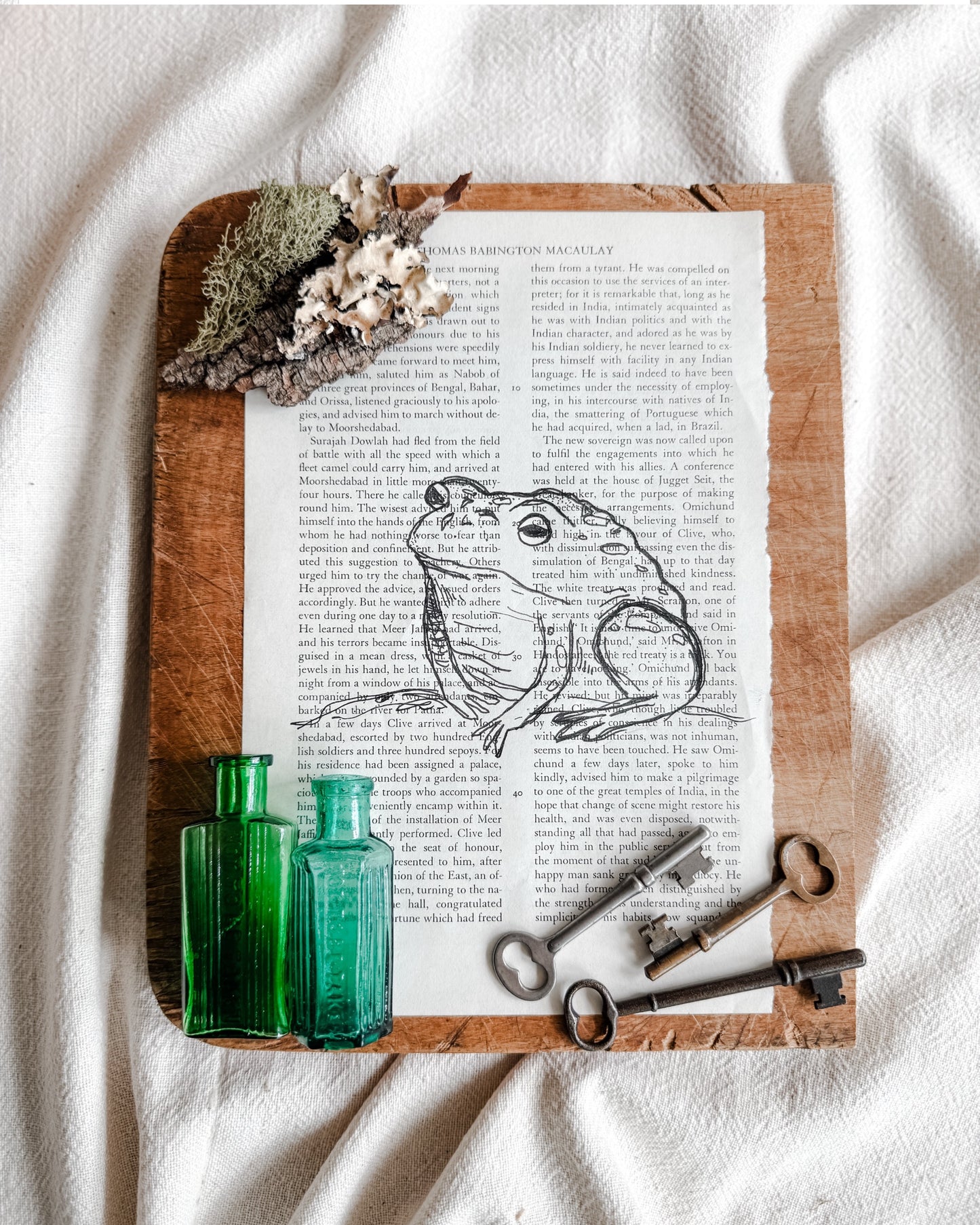 Original Illustrations in Ink on vintage book pages, Toad | Handmade Artisan Gift Boutique| Artwork