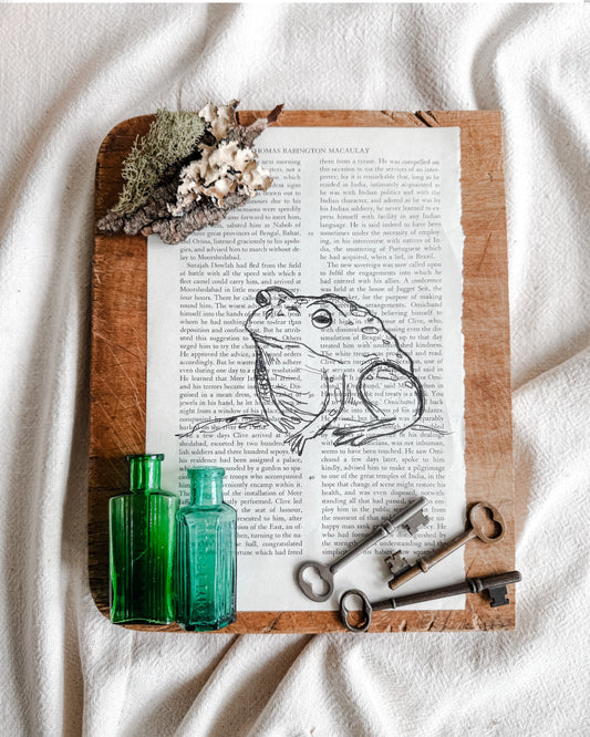 Original Illustrations in Ink on vintage book pages, Toad | Handmade Artisan Gift Boutique| Artwork