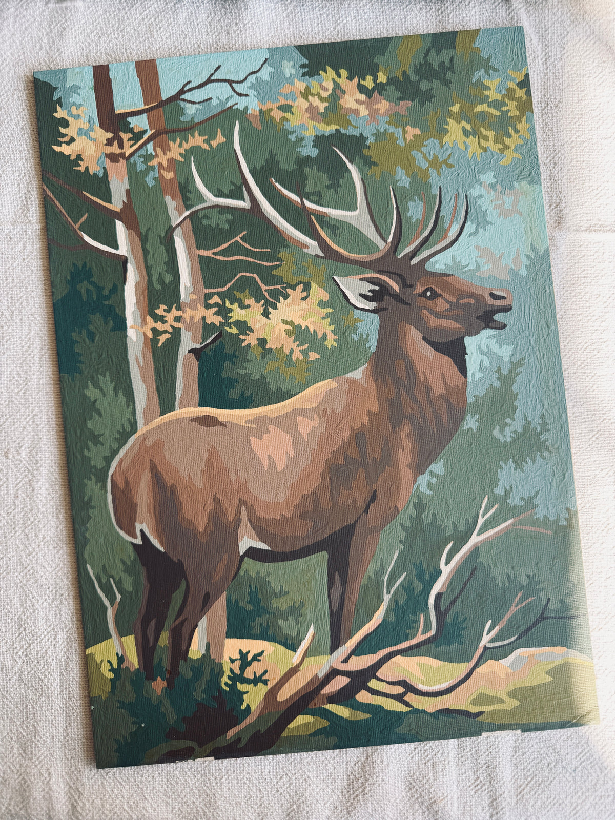 Vintage elk Paint by number