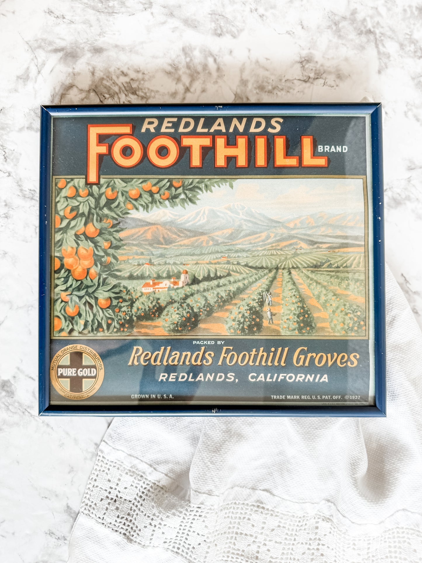 Framed Nearly Antique Fruit Crate Label