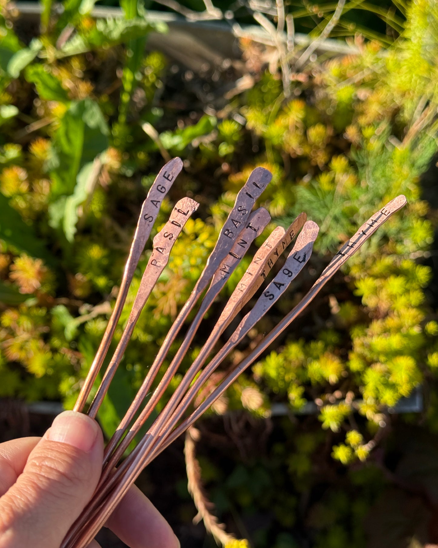 Copper Herb Plant Tags