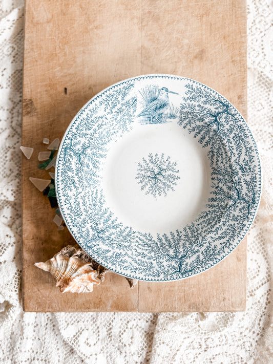 Antique English Transferware bowl with flora and Fauna