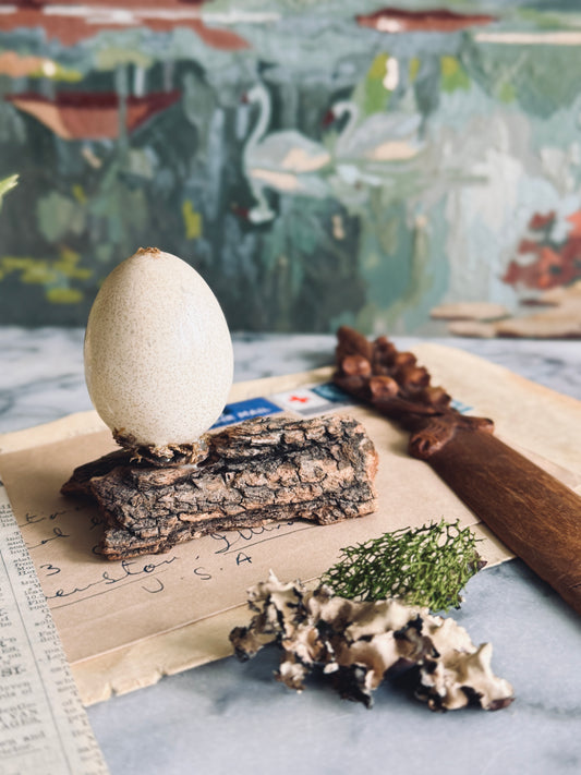 Decoupage Egg on Bark