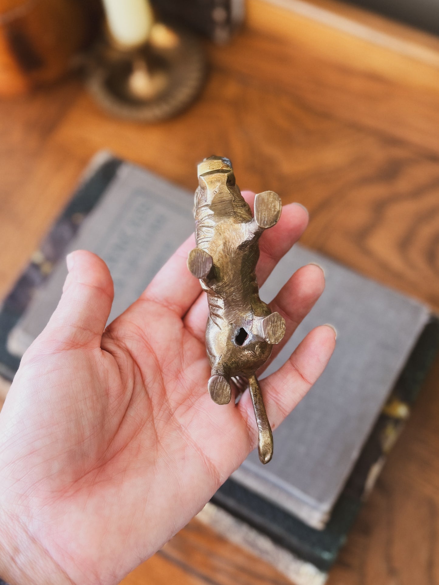 Small vintage brass lion