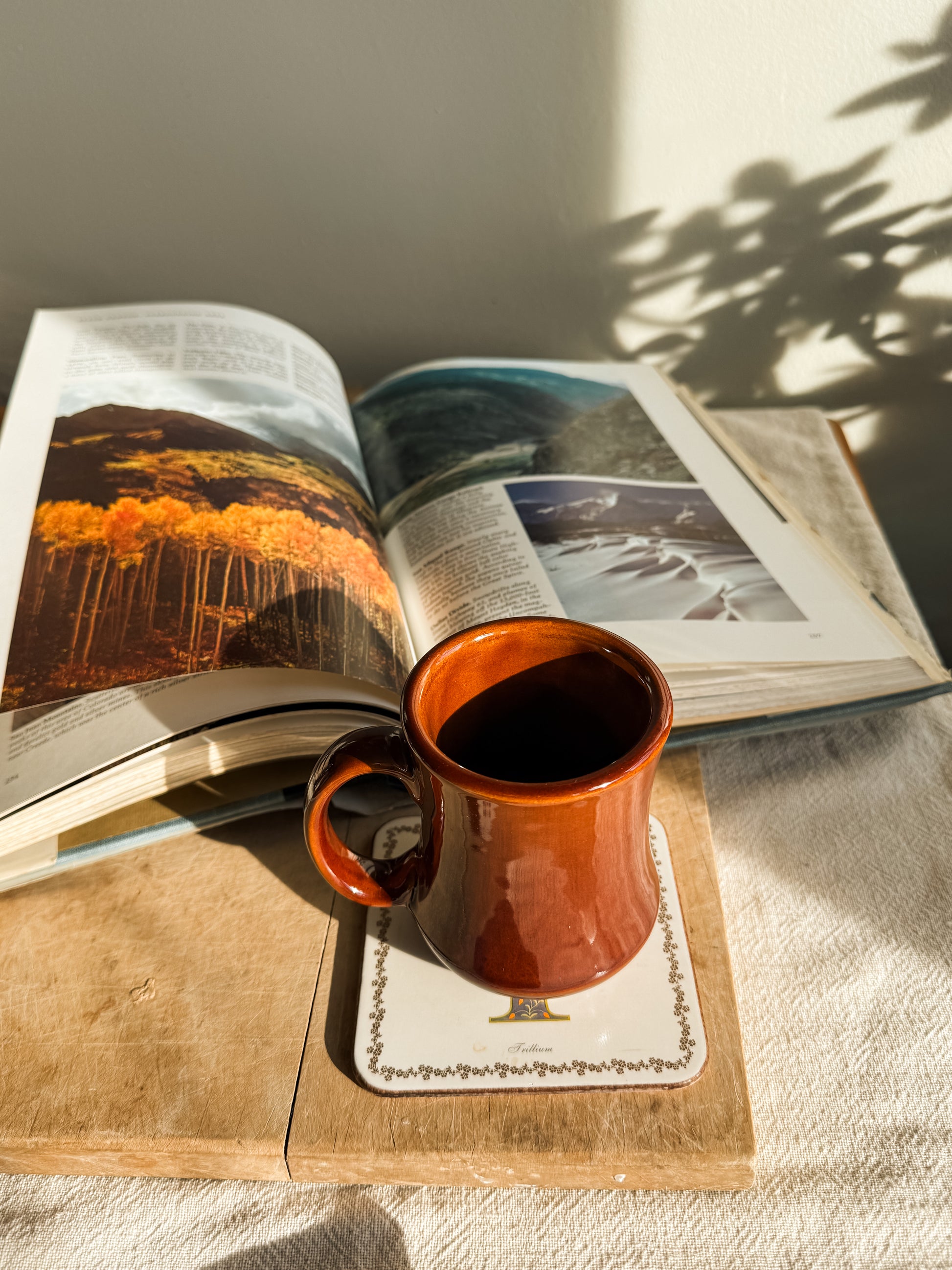 Vintage brown stoneware diner mug on coaster with book