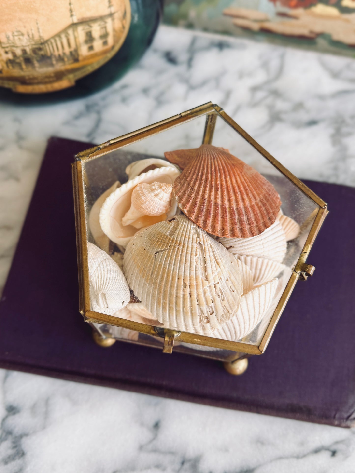 Vintage footed brass and glass display box with seashells