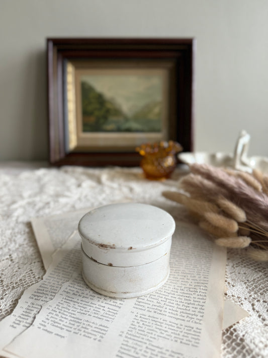 Large antique lidded ironstone apothecary pot