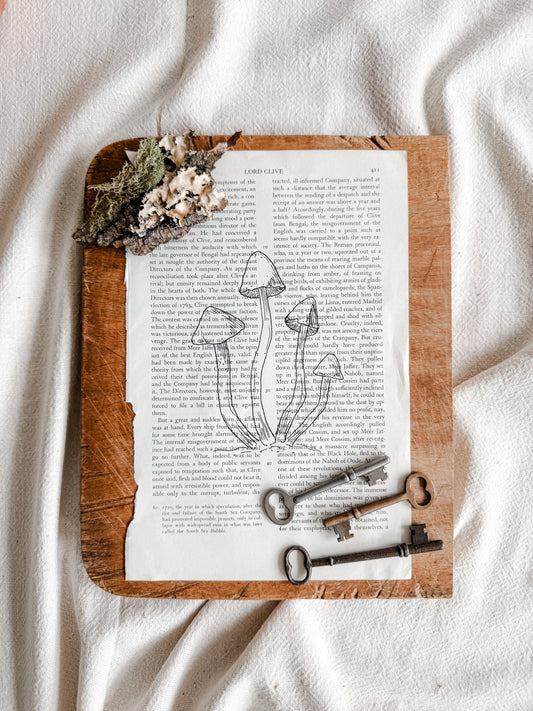 Original Illustrations in Ink on vintage book pages, Mushroom Clump | Handmade Artisan Gift Boutique | Artwork