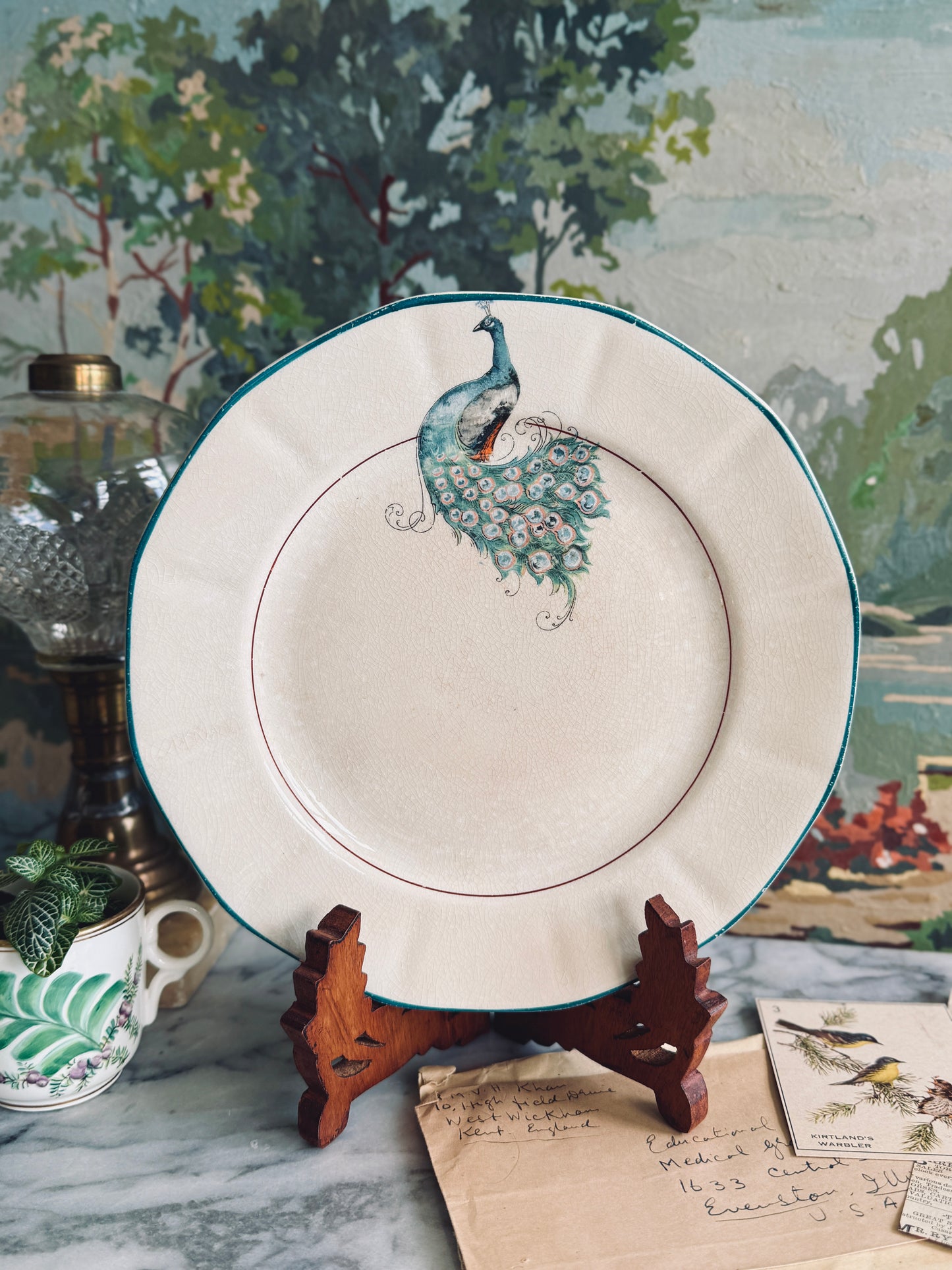 Nearly antique China plates with Peacock pattern
