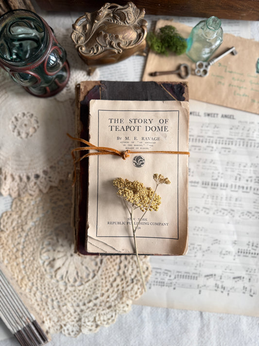 Antique book set with leather tie