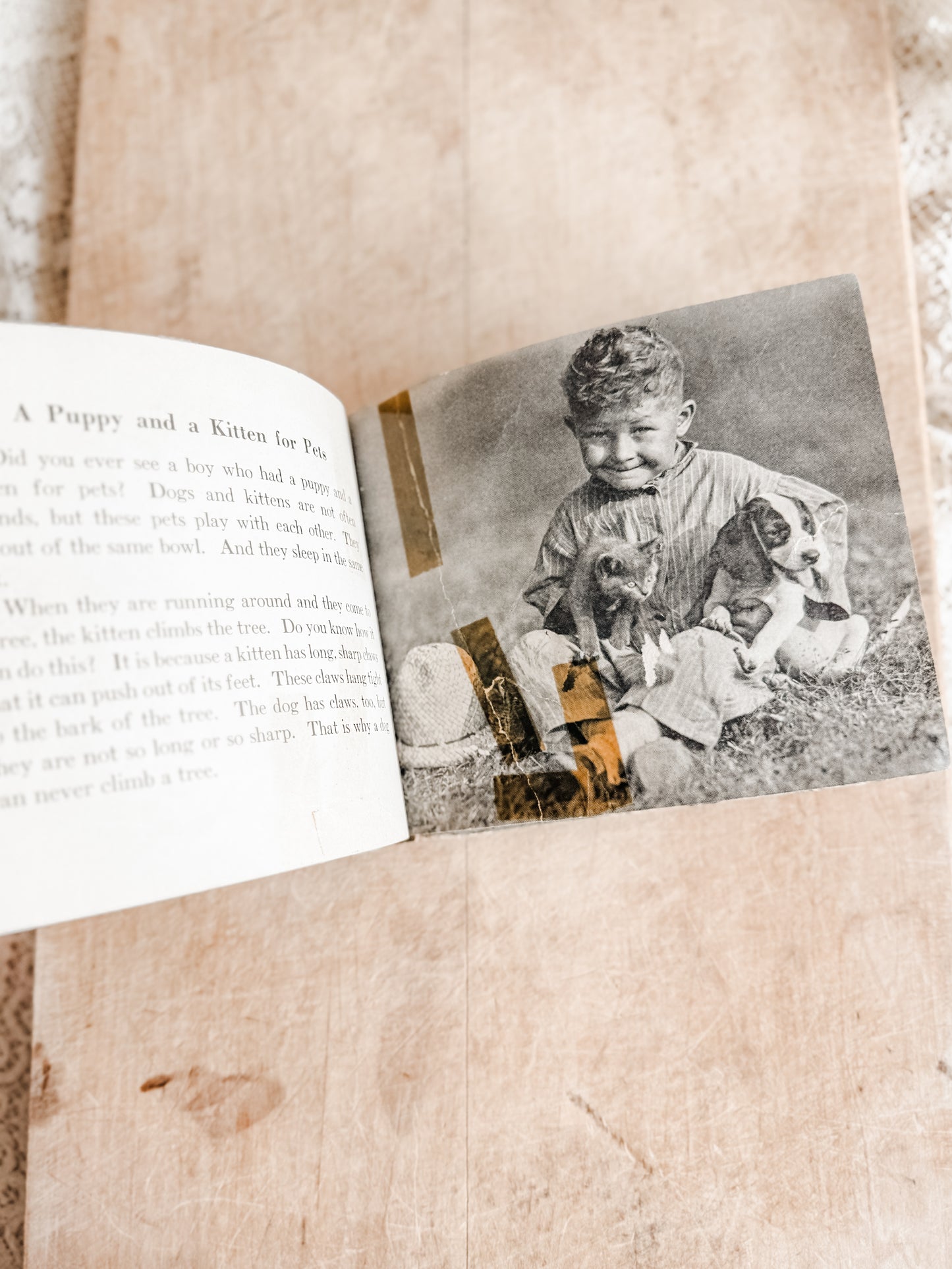 Farm Pets Book, Copyright 1935