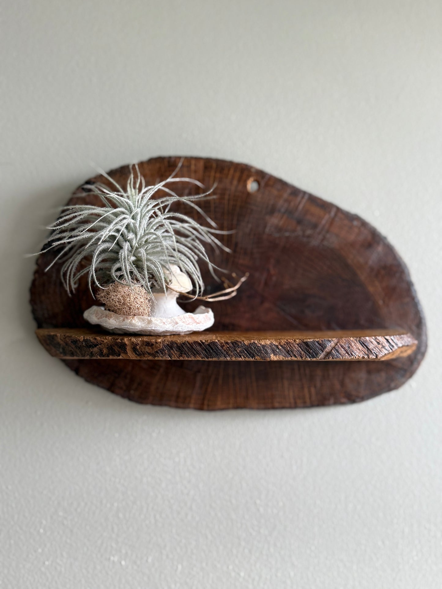 Small rustic wood slice shelf
