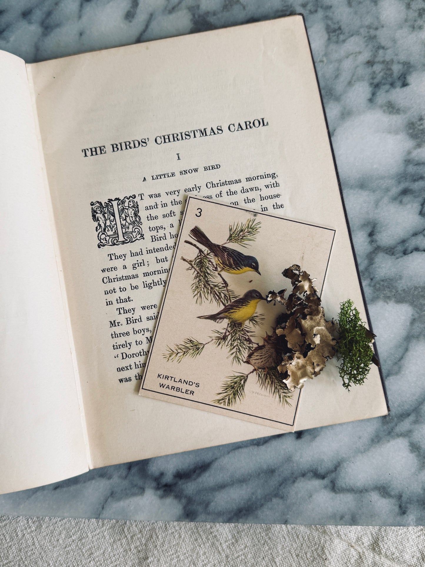The Birds' Christmas Carol